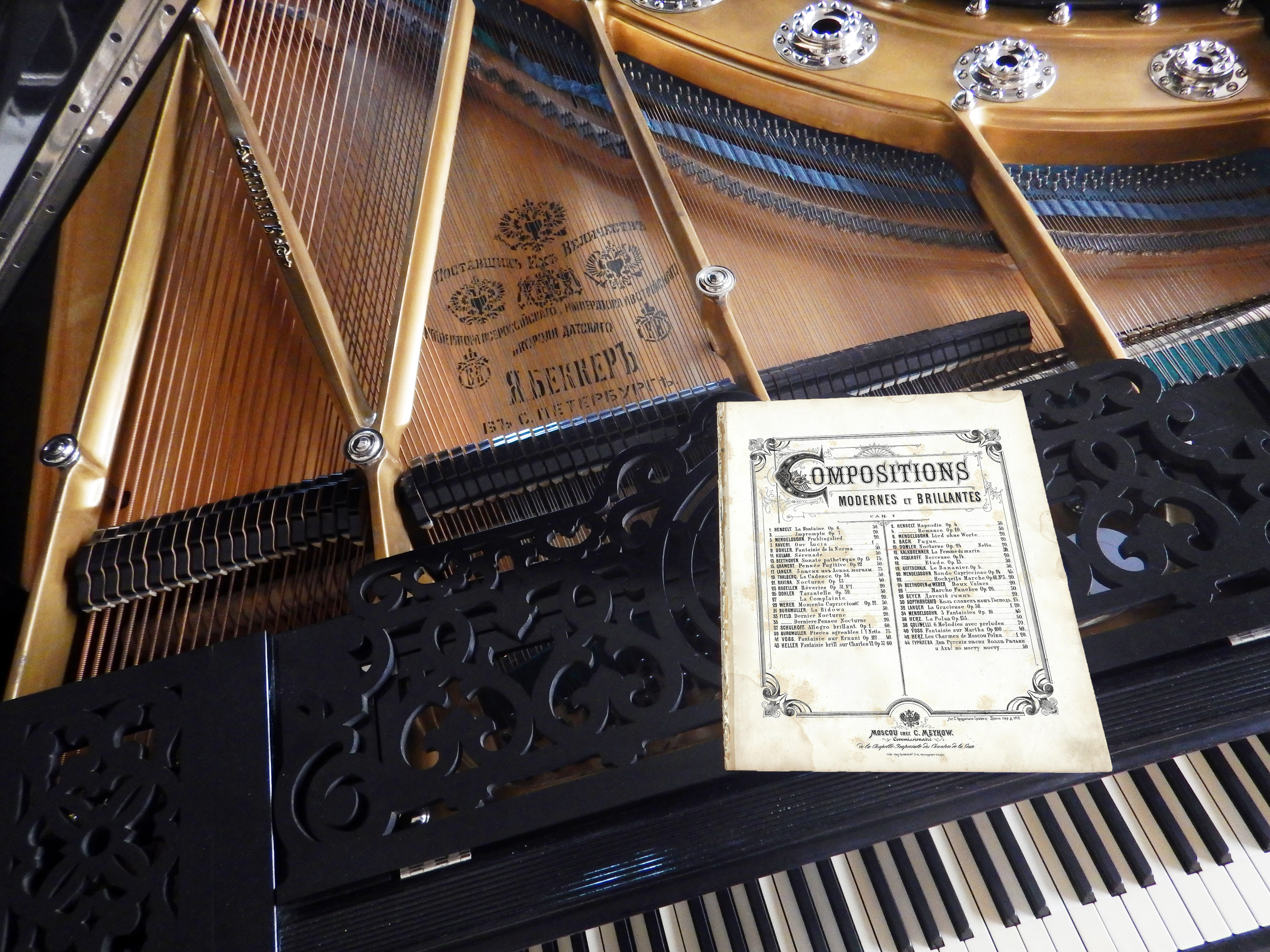 Ноктюрн Des-dur, Теодор Долёр